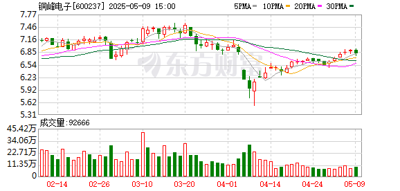股票线上配资 铜峰电子：2024年年度股东会决议公告